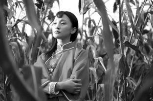 红高粱花絮周迅,花絮中的经典瞬间