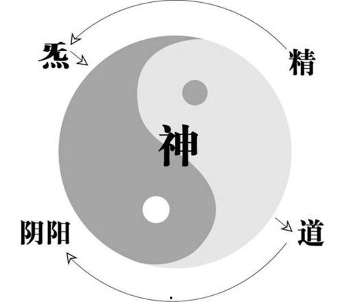 阴阳八卦视频解说,揭秘古老智慧与宇宙奥秘